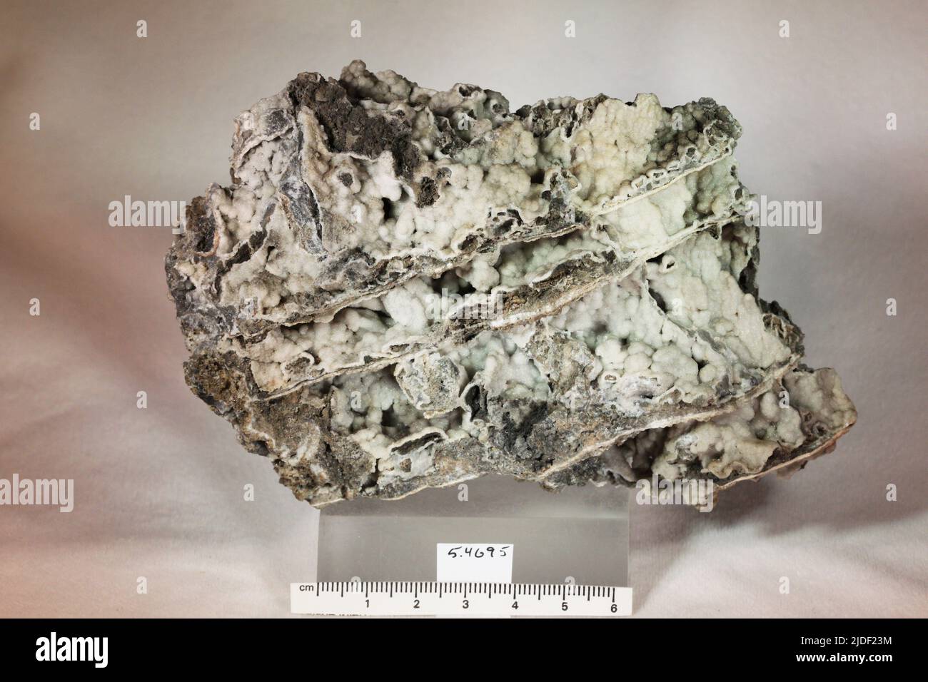 Hemimorphite. Minéraux. Amérique du Nord; États-Unis; Pennsylvanie; Lehigh County; Friedensville Banque D'Images