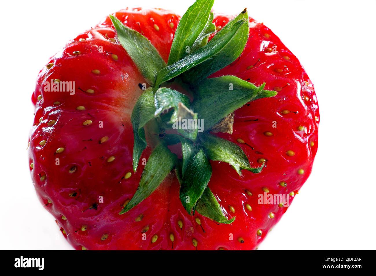 Fraise rouge juteuse isolée sur fond blanc Banque D'Images