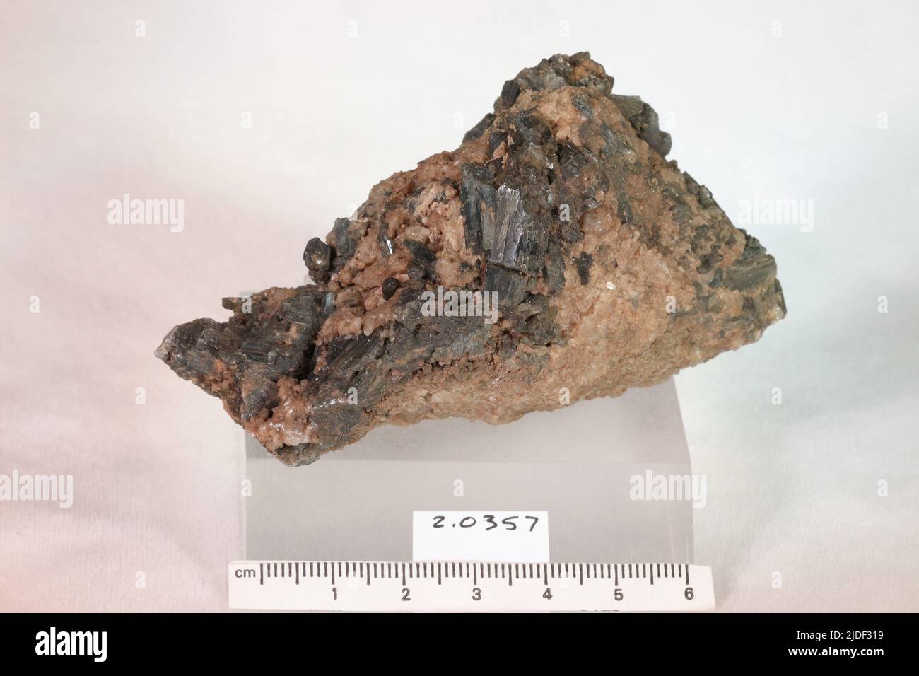 Minéraux amphibole. Amérique du Nord; États-Unis; New York; comté de Saint Lawrence; Gouverneur Banque D'Images