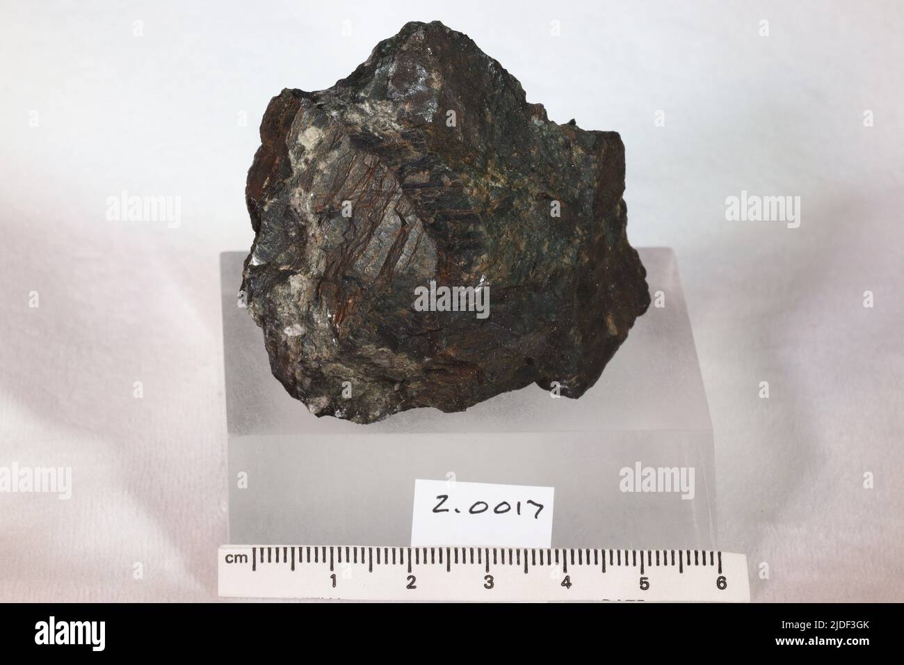 Hypersthène. Minéraux. Amérique du Nord ; États-Unis ; Pennsylvanie ; Comté de Berks Banque D'Images