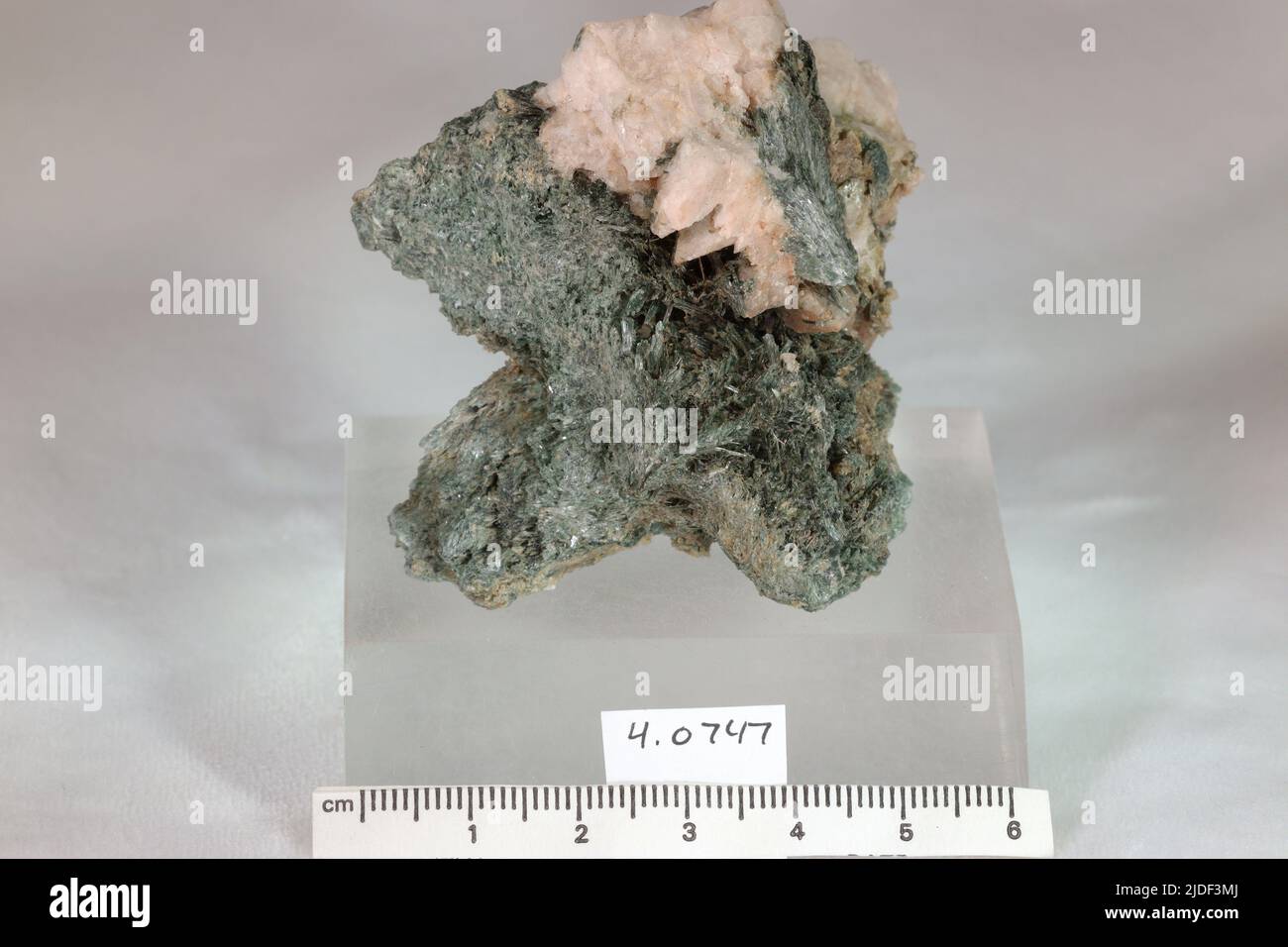 Actinolite. Minéraux. Amérique du Nord ; États-Unis ; Vermont ; Comté de Windsor ; Weston Banque D'Images