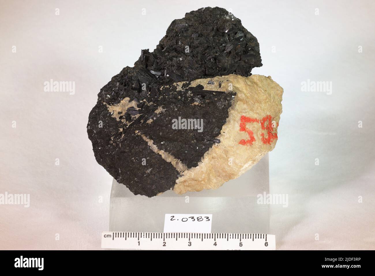 Minéraux de hornblende. Europe ; Norvège ; province de Telemark ; Kragero ; Kamfors Banque D'Images