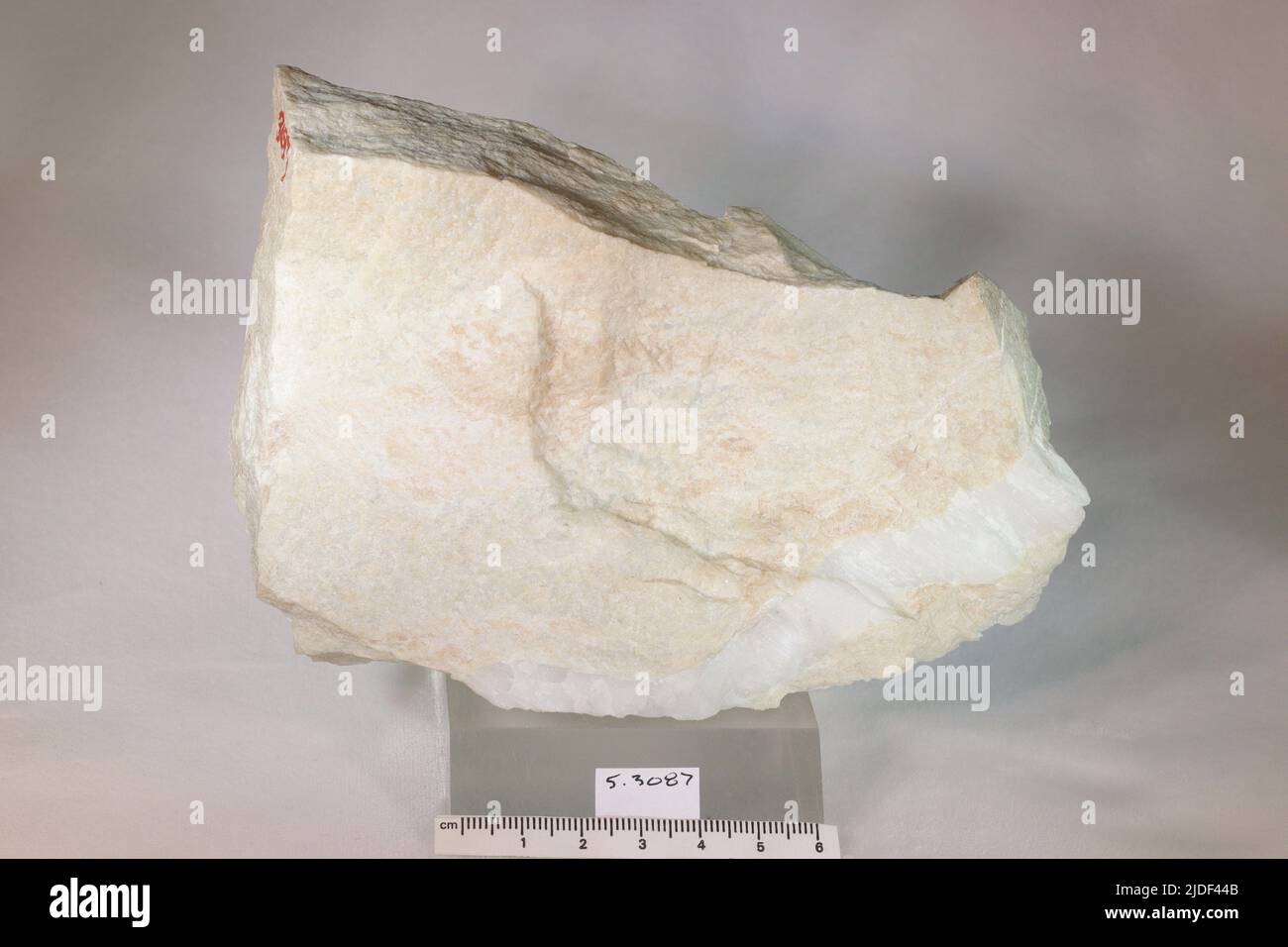 Actinolite. Minéraux. Amérique du Nord; États-Unis; Pennsylvanie; Easton; près du Delaware Banque D'Images