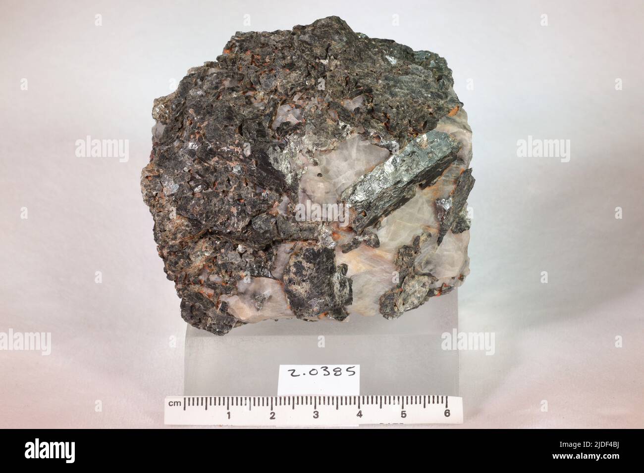 Minéraux de hornblende. Amérique du Nord ; États-Unis ; New York ; Orange County ; Amity Banque D'Images