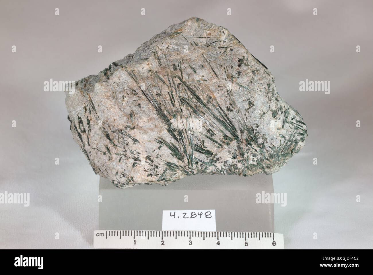 Actinolite. Minéraux. Amérique du Nord; États-Unis; Californie; Marin County; Tiburon Banque D'Images