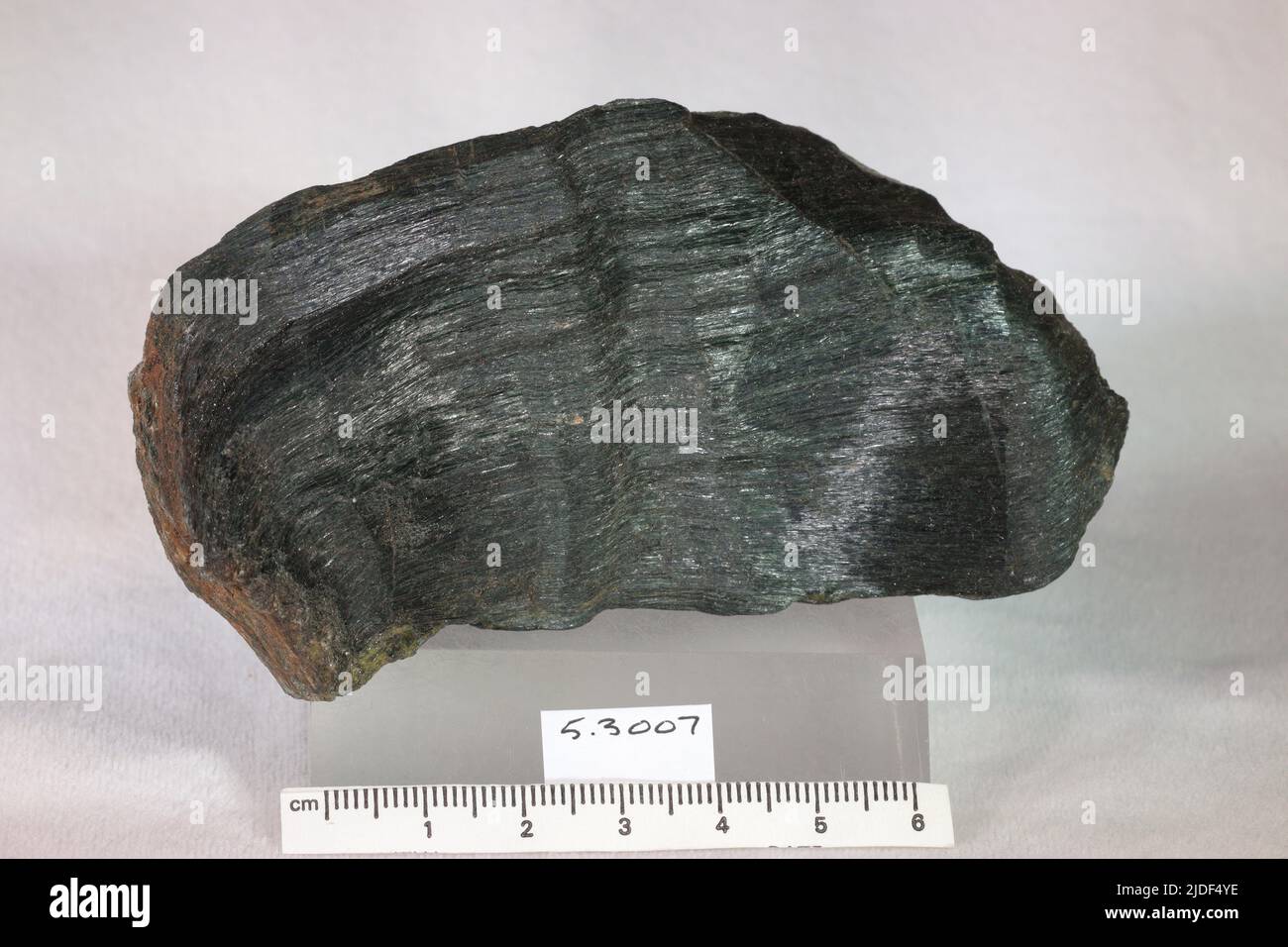 Actinolite. Minéraux. Amérique du Nord; États-Unis; Rhode Island; Cumberland Banque D'Images