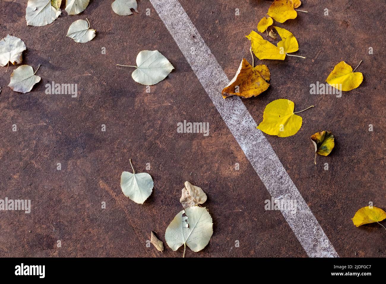 Gros plan des feuilles d'automne tombées sur une aire de jeux extérieure et agencées différemment. Une ligne diagonale sépare clairement les lames. Banque D'Images