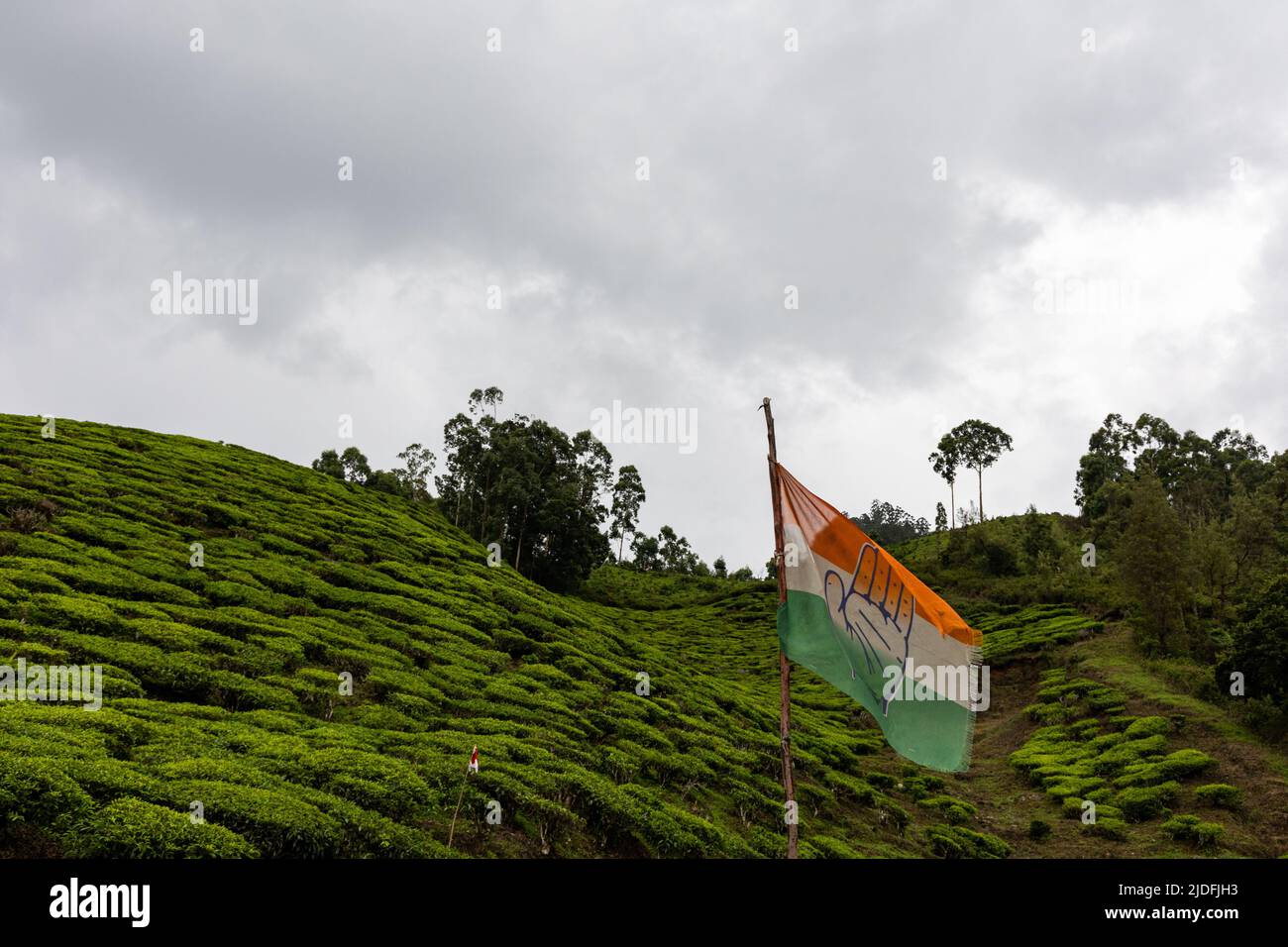 Drapeau du Congrès national indien (Inc) volant au-dessus des jardins de thé à Munnar, Kerala Banque D'Images