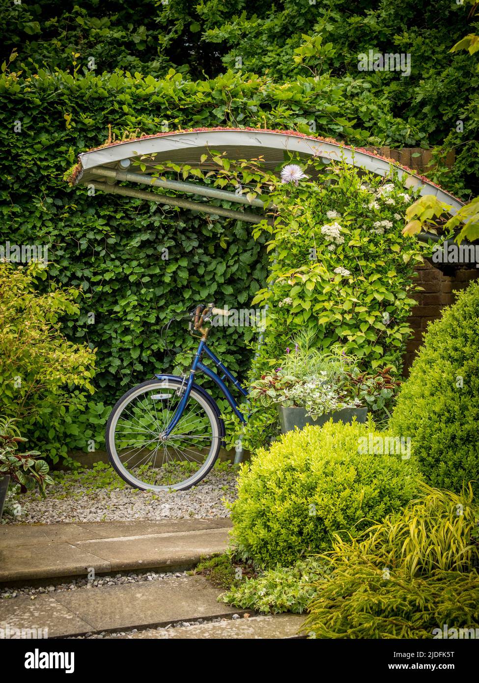 Abri intérieur de vélo de jardin avec toit vivant aux jardins de Harlow Carr à Harrogate. Yorkshire du Nord. ROYAUME-UNI Banque D'Images