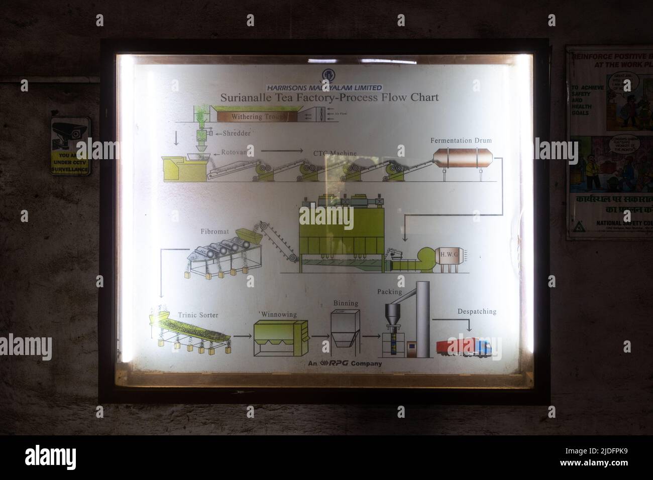 Surianalle Tea Factory diagramme de processus mis vers le haut pour les touristes à voir et à apprendre Banque D'Images