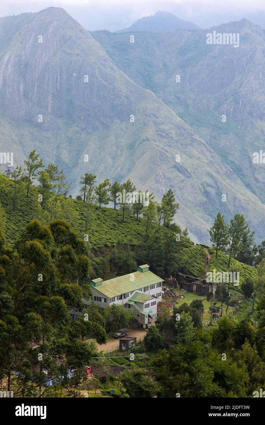 Vue de l'usine de traitement du thé orthodoxe la plus haute altitude au monde nichée dans un paysage montagneux à Kolukkumalai, Munnar, Kerala, Inde Banque D'Images