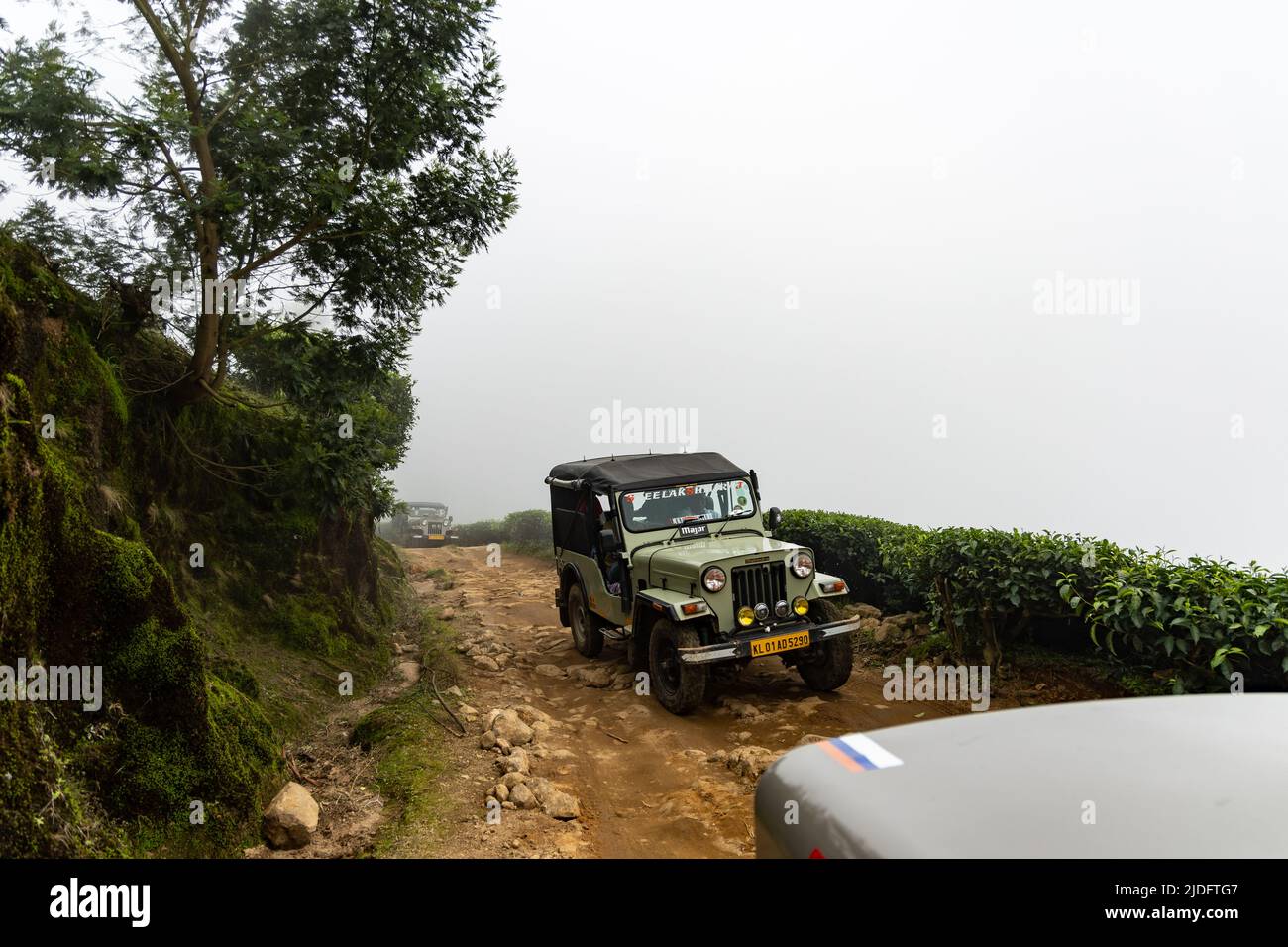 Deux jeeps traversent le sentier tout-terrain à travers la plantation de thé la plus haute altitude du monde à Kolukkumalai, Munnar, Kerala, Inde Banque D'Images