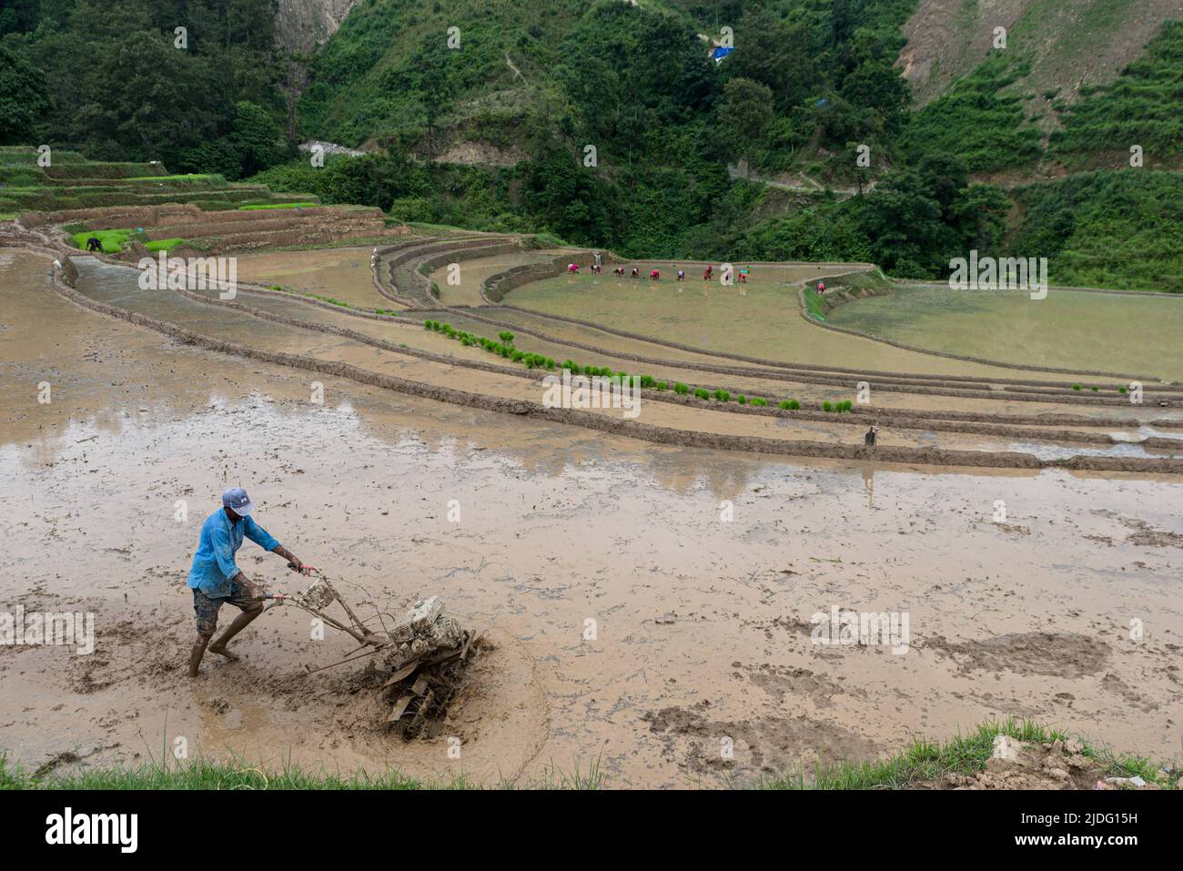 Katmandou, Népal. 20th juin 2022. Un agriculteur népalais travaillant sur un champ utilisant une charrue pour planter du riz. Comme la pré-mousson a commencé au Népal, les agriculteurs ont commencé à planter du riz dans les champs de la périphérie de la vallée de Katmandou. (Photo de Bivas Shrestha/SOPA Images/Sipa USA) crédit: SIPA USA/Alay Live News Banque D'Images