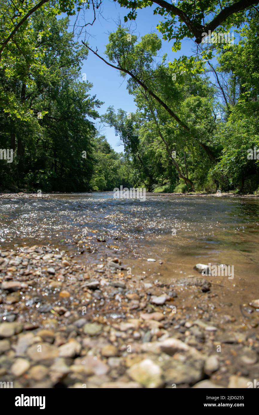 Belle rivière qui traverse la luxuriante forêt du Delaware Banque D'Images