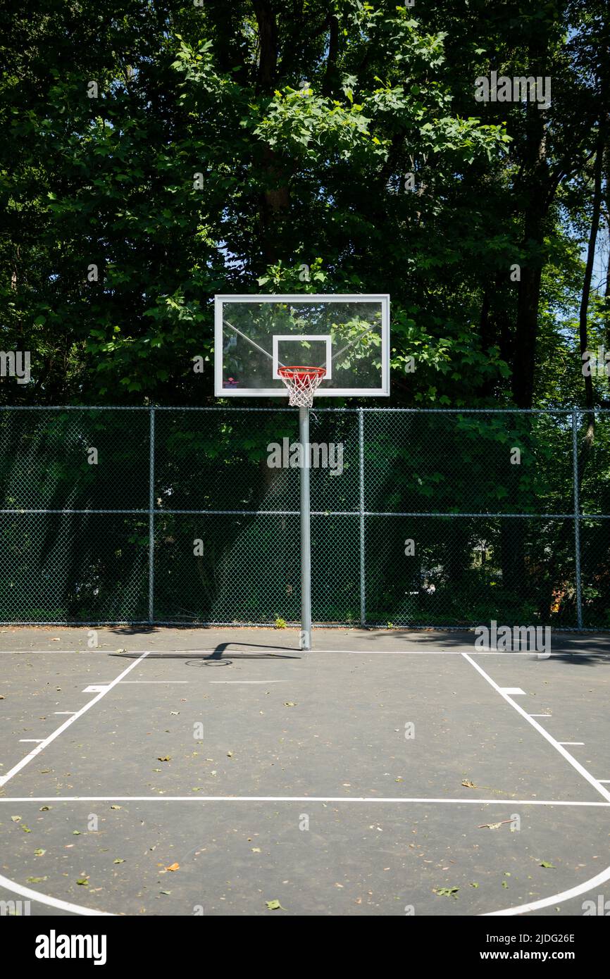 Ancien terrain de basket-ball entouré de luxuriants bois d'été Banque D'Images