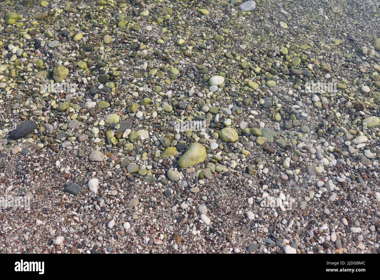Fond de texture de galets de plage ronde et lisse Banque D'Images