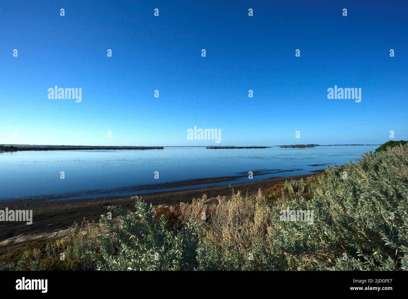 Swan Bay est un lagon marin peu profond sur la côte est de la péninsule de Bellarine, sur la côte sud de Victoria, en Australie, près de Queenscliff. Banque D'Images