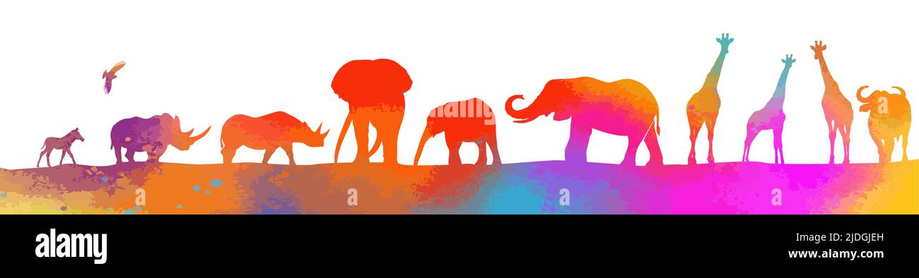 Animaux africains colorés. Illustration vectorielle Illustration de Vecteur