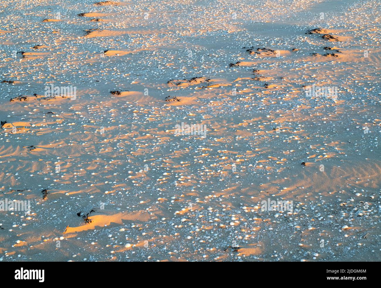 Faites du sable et des coques au coucher du soleil sur la plage de Southerness, Dumfries et Galloway, en Écosse Banque D'Images