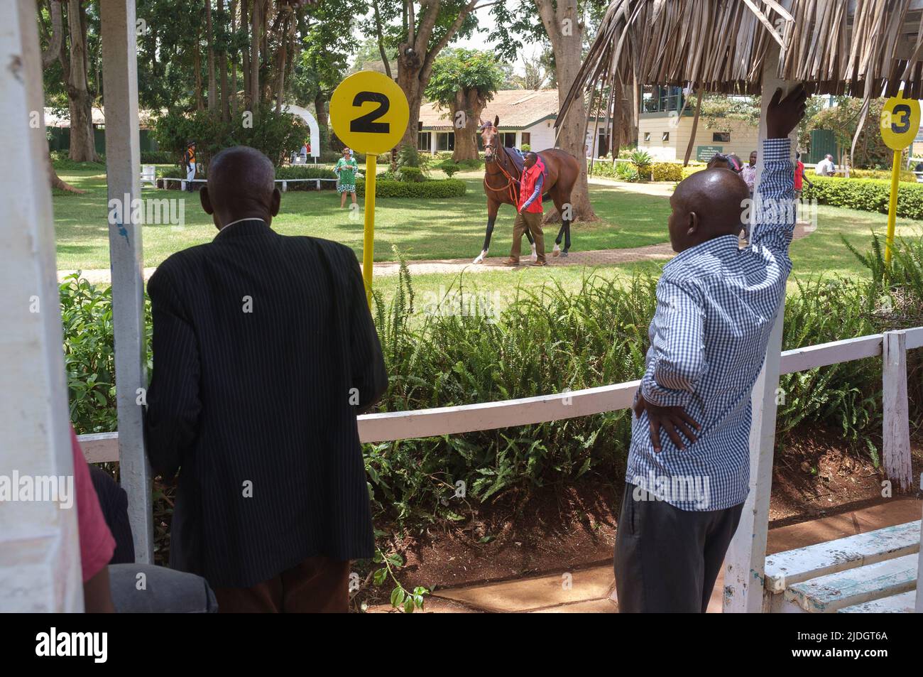 Spectateurs regardant des chevaux en train d'être conduits autour de l'anneau de parade avant une course, champ de courses de Ngong, chemin de Ngong, Nairobi, Kenya. 1 mars 2015 Banque D'Images