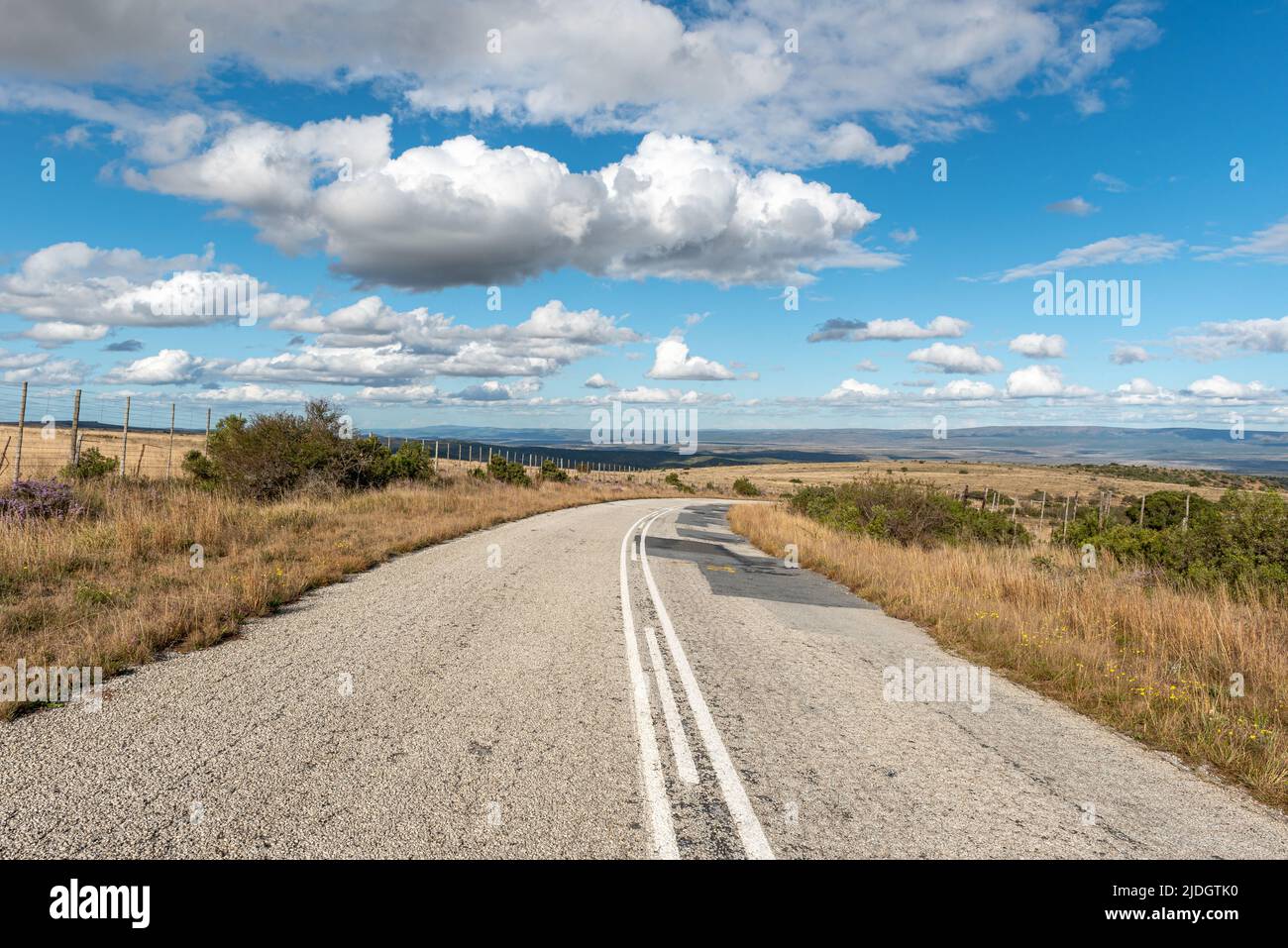 Paysage avec R350 route de Bedford sur le chemin vers Grahamstown/Makhansa, Cap est, Afrique du Sud, 19 juin 2022. Banque D'Images