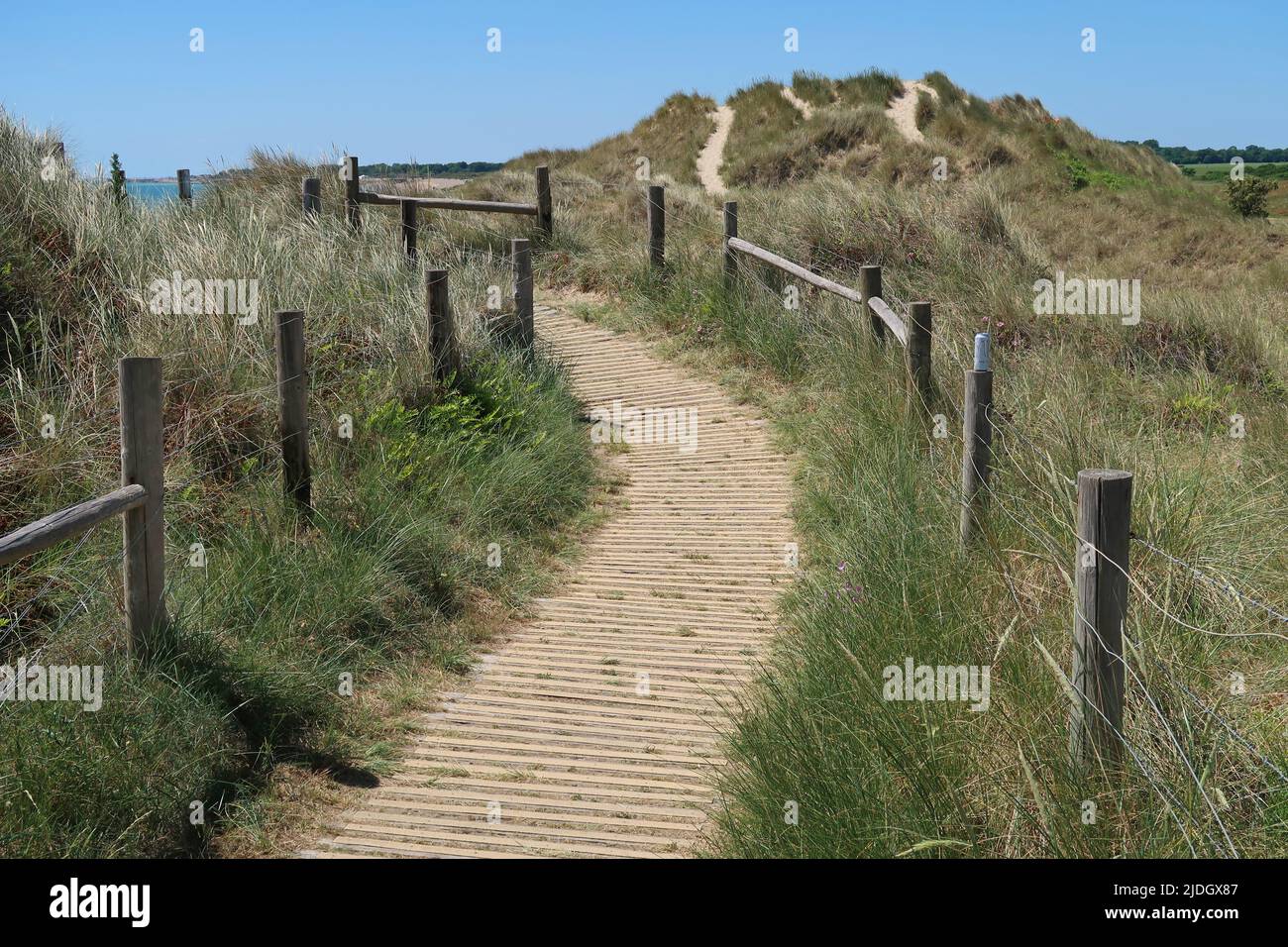 Littlempton, West Sussex, Royaume-Uni. Un sentier à bord de la mer traverse les dunes de sable derrière West Beach. Banque D'Images