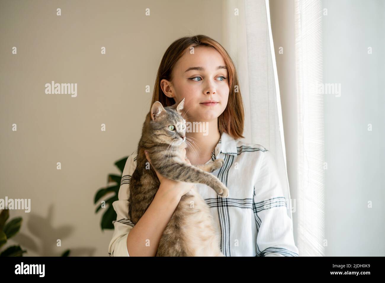 Photo intérieure d'une femme incroyable tenant un chat . Portrait d'une jeune femme tenant un chat rayé mignon avec des yeux verts et regardant la fenêtre. Femme embrassant son adorable chaton. Adorable concept d'animal domestique. Banque D'Images