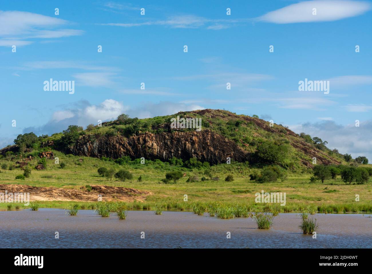 Lion Rock, un promontoire qui a inspiré le film de Walt Disney « le Roi Lion ». Lualenyi, zone de conservation de Tsavo, Kenya. Banque D'Images