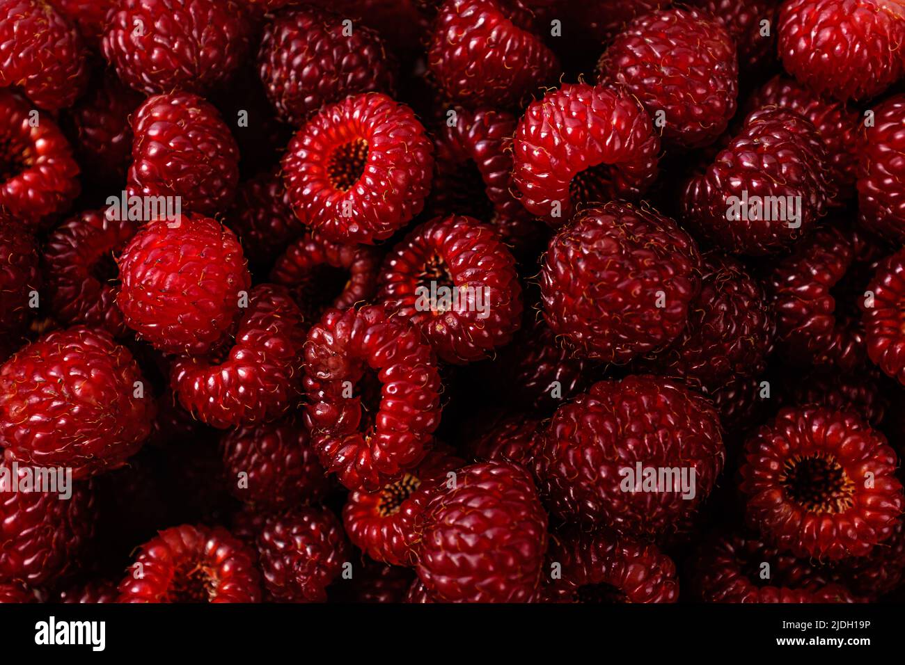 Framboises petites, rouges, aigres et sucrées Banque D'Images