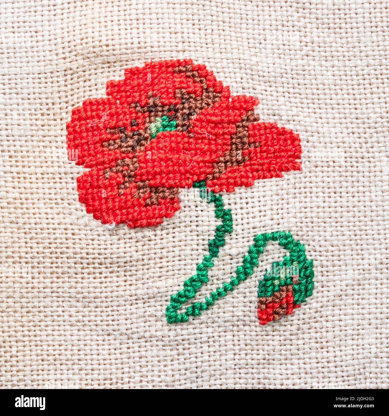 fleur de pavot rouge brodée à la main sur le tissu gros plan Banque D'Images