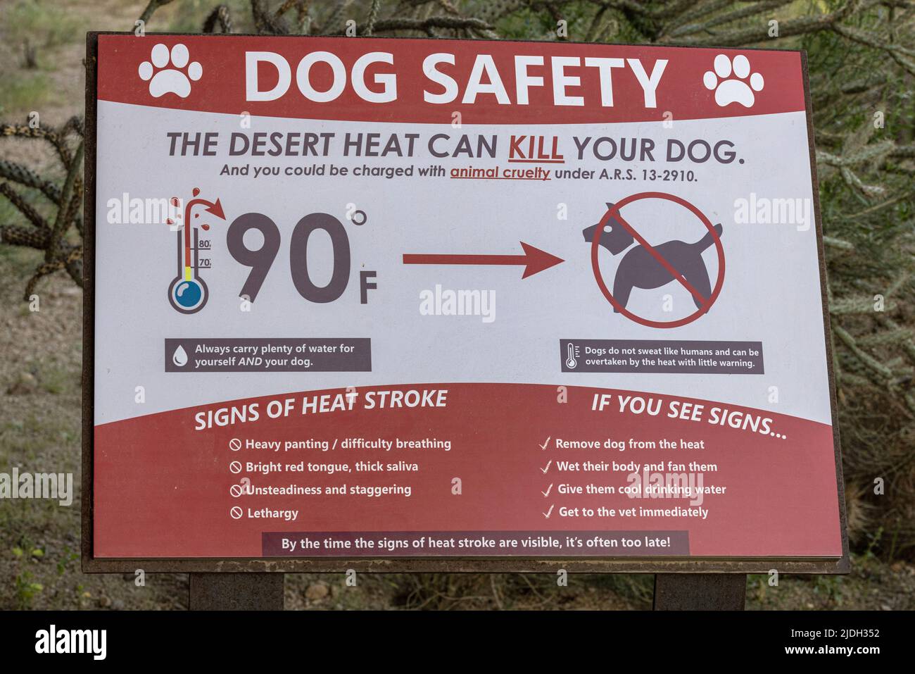 Chien domestique (Canis lupus F. familiaris), panneau d'avertissement pour les propriétaires de chiens sur un sentier de randonnée dans le désert, Brown's Ranch Trailhead, États-Unis, Arizona Banque D'Images