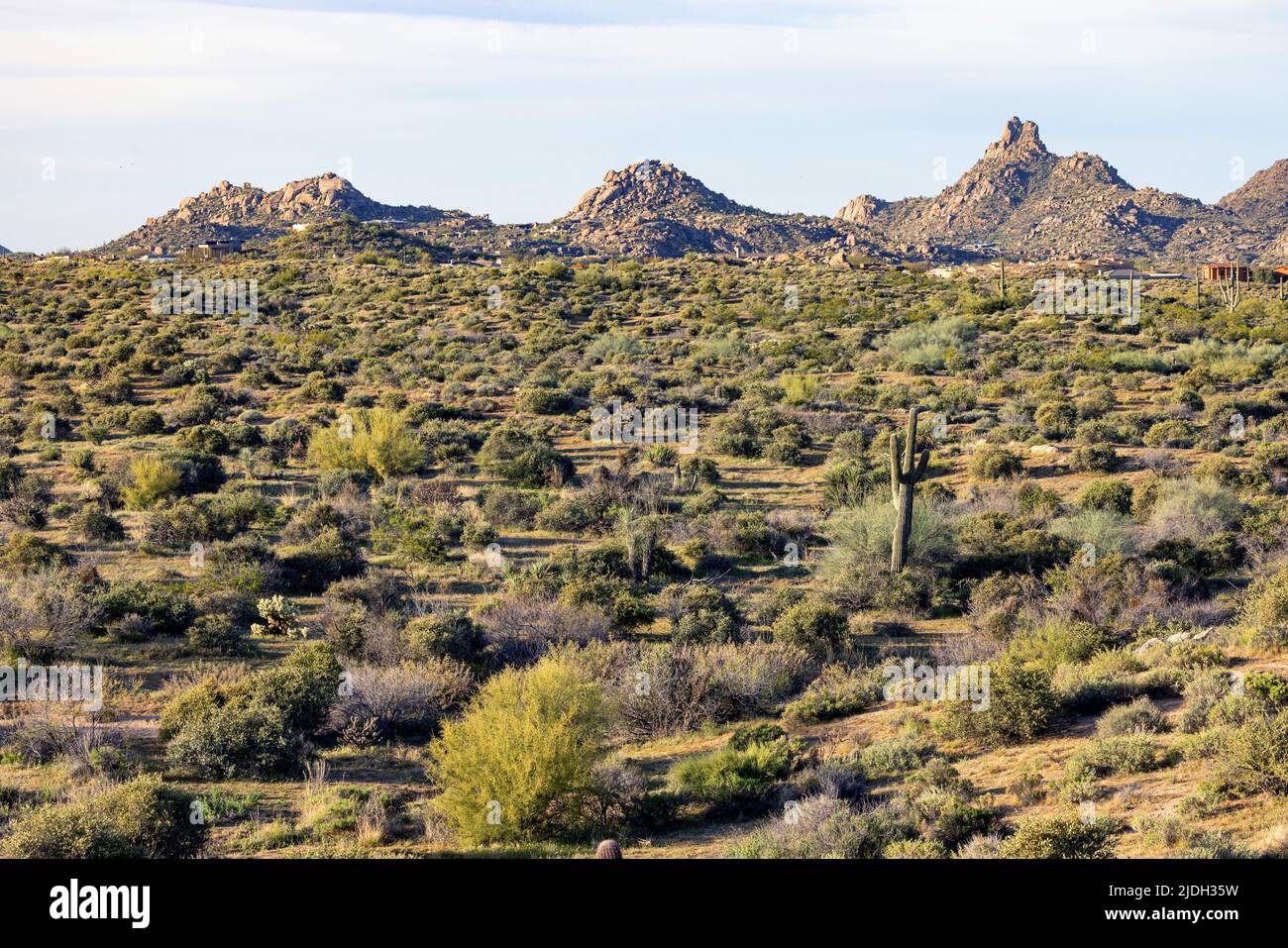 Sommet de Ganite Pinnacle Peak au désert de Sonora, États-Unis, Arizona, Sonoran Banque D'Images