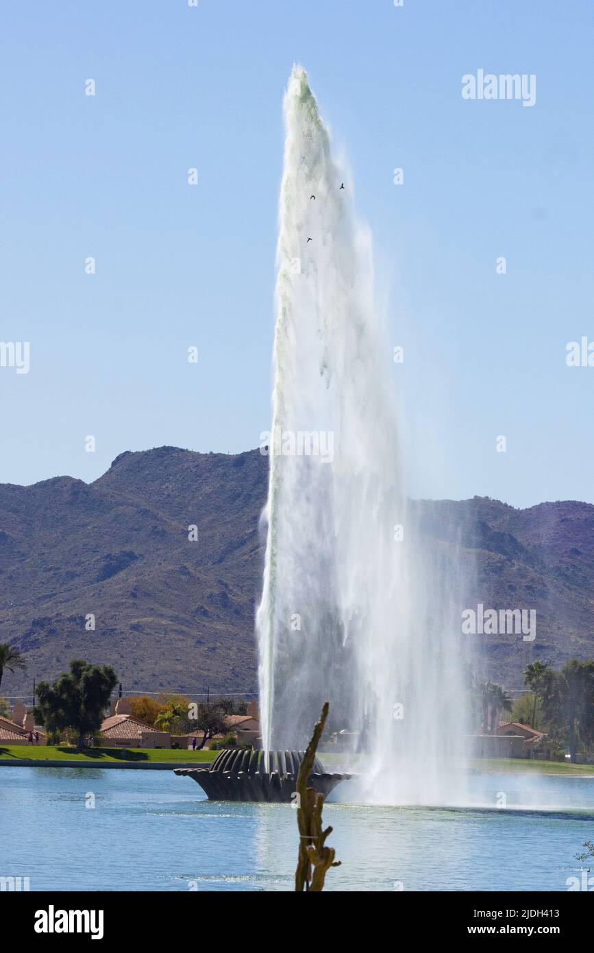 Les canards survolent autour d'une fontaine d'eau de 170 m de hauteur, États-Unis, Arizona, Fountain Hills Banque D'Images