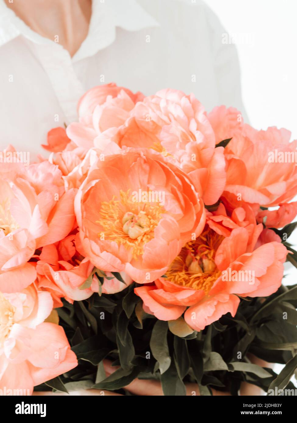 Femme incertaine en chemise blanche tenant un bouquet de pivoines de corail. Félicitations, vacances, concept de style de vie Banque D'Images