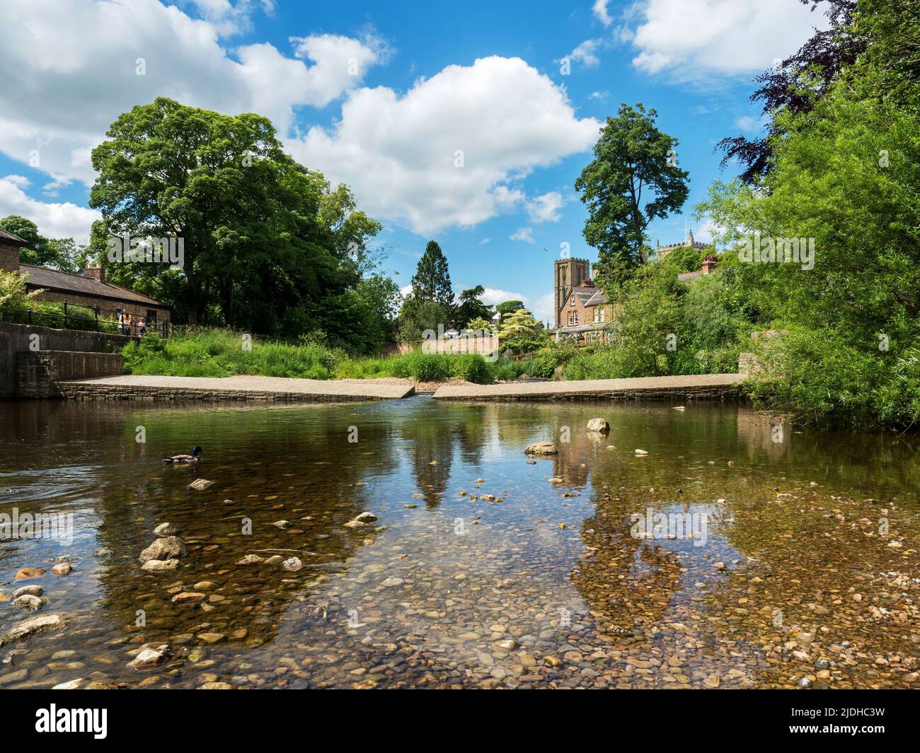 Vue sur la rivière Skell vers la cathédrale en été à Ripon North Yorkshire England Banque D'Images