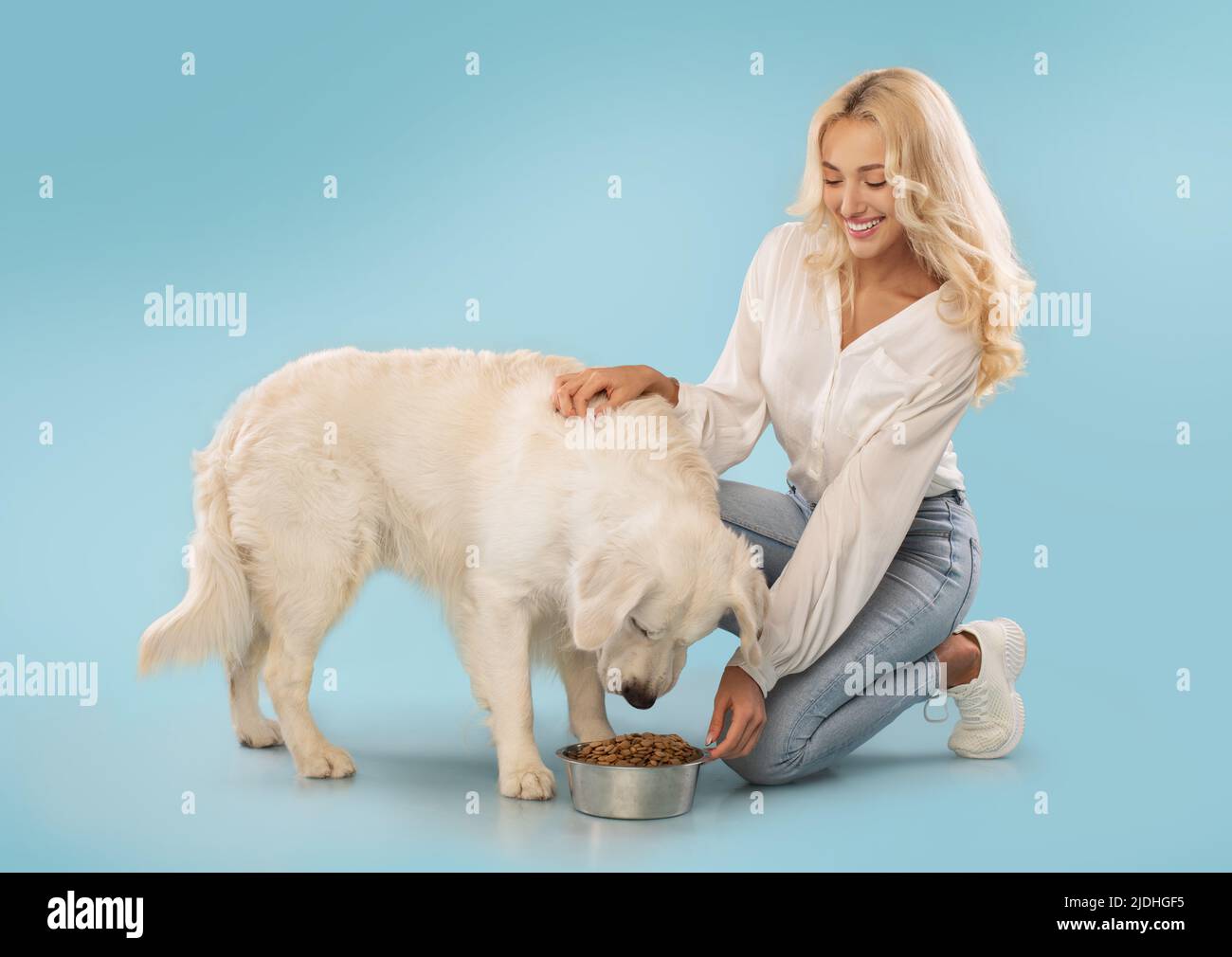 Une femme aimante qui se parie et qui nourrit son adorable chien de retriever doré, pose sur fond de studio bleu, espace de copie Banque D'Images