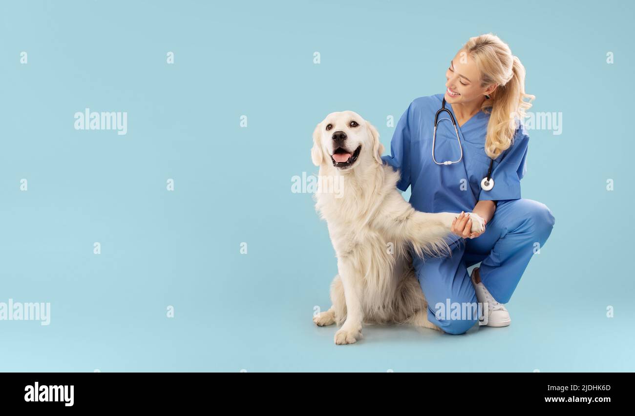 Clinique vétérinaire conviviale. Une infirmière heureuse pose avec Golden Retriever, embrassant le labrador et tenant la patte de l'animal Banque D'Images
