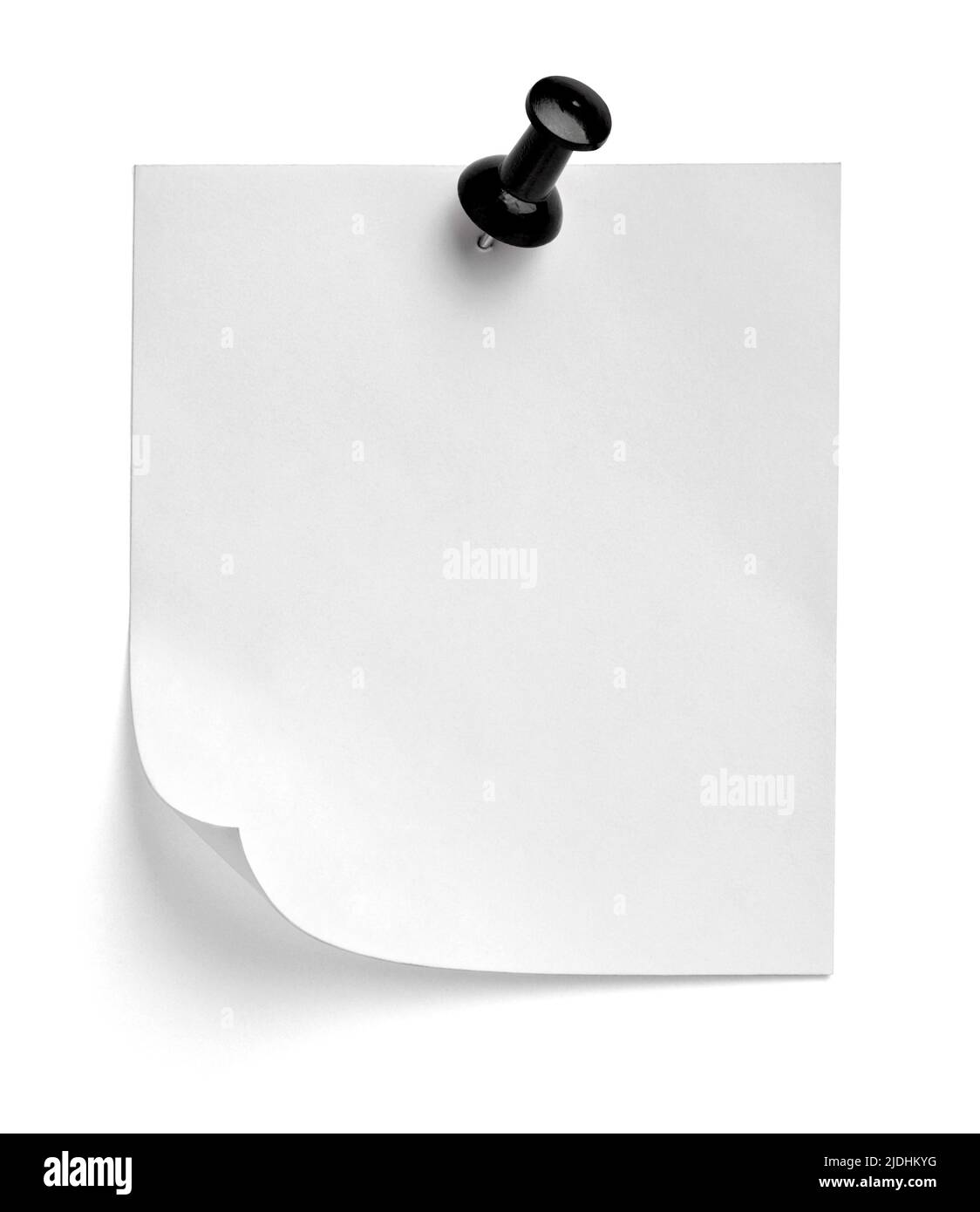 notez le message « punaise » sur papier rouge blanc noir Banque D'Images