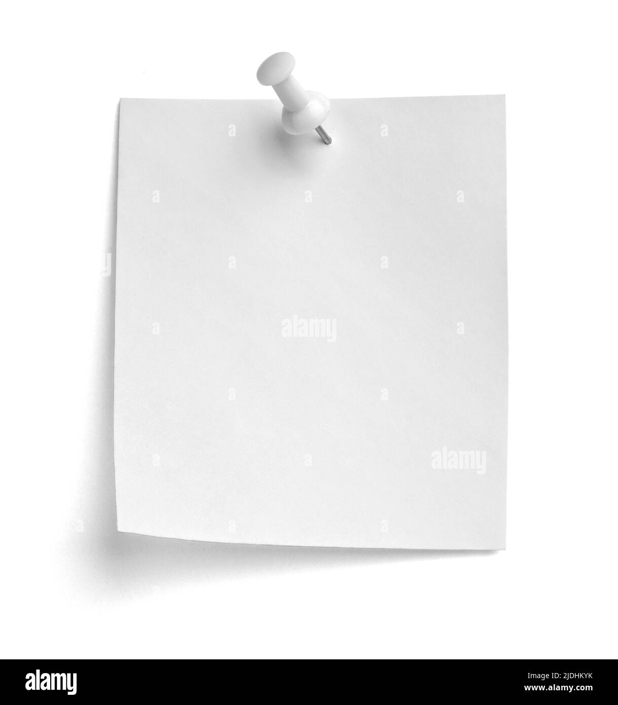 notez le message « punaise » sur papier rouge blanc noir Banque D'Images