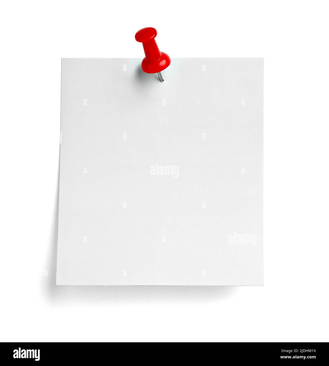 notez le message « punaise » sur papier rouge blanc noir Banque D'Images