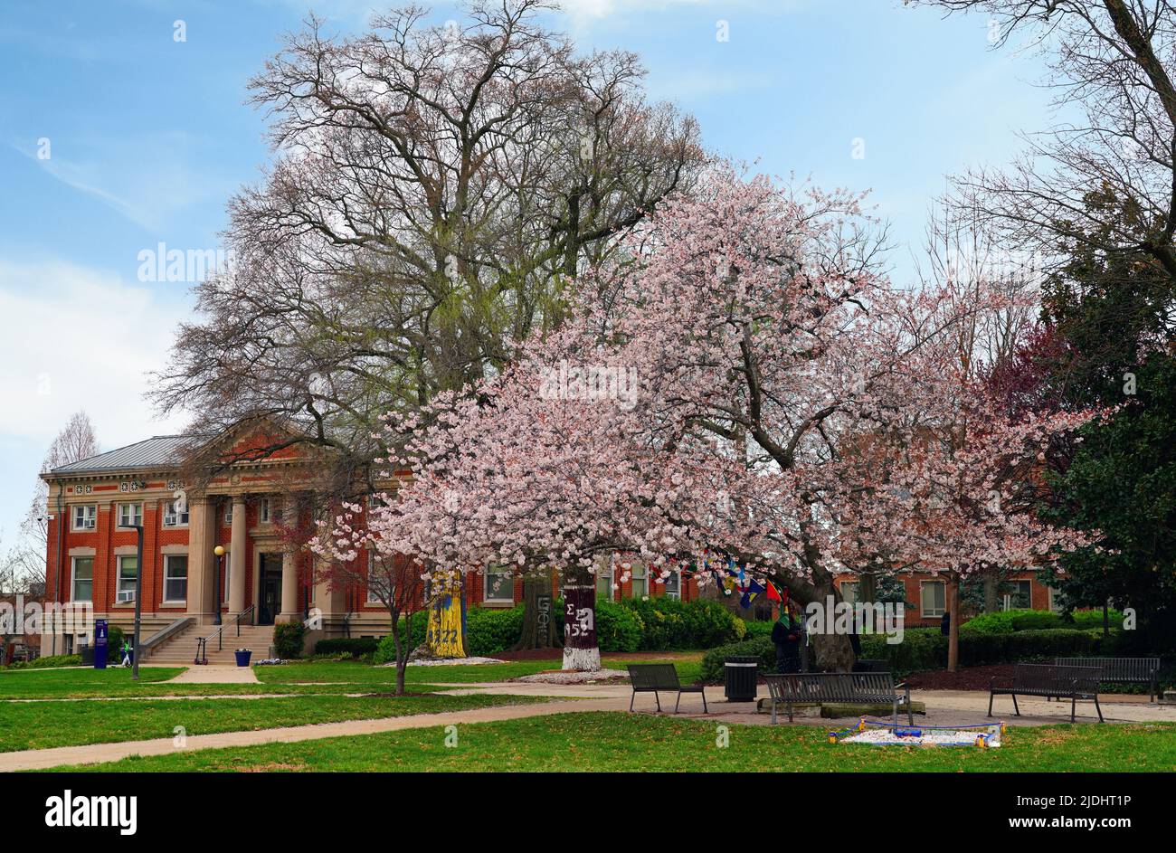 Campus universitaire historiquement noir Banque de photographies et d
