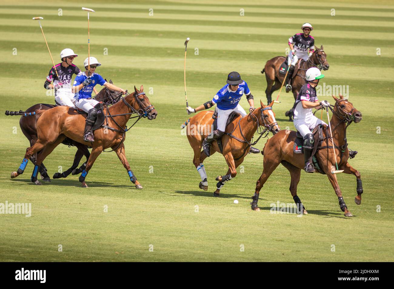 James Harper de King Power (en bleu) frappe contre les eau au Cowdray Park Polo Club à Midhurst, dans l'ouest du Sussex, lors du match d'ouverture de l'Op britannique Banque D'Images