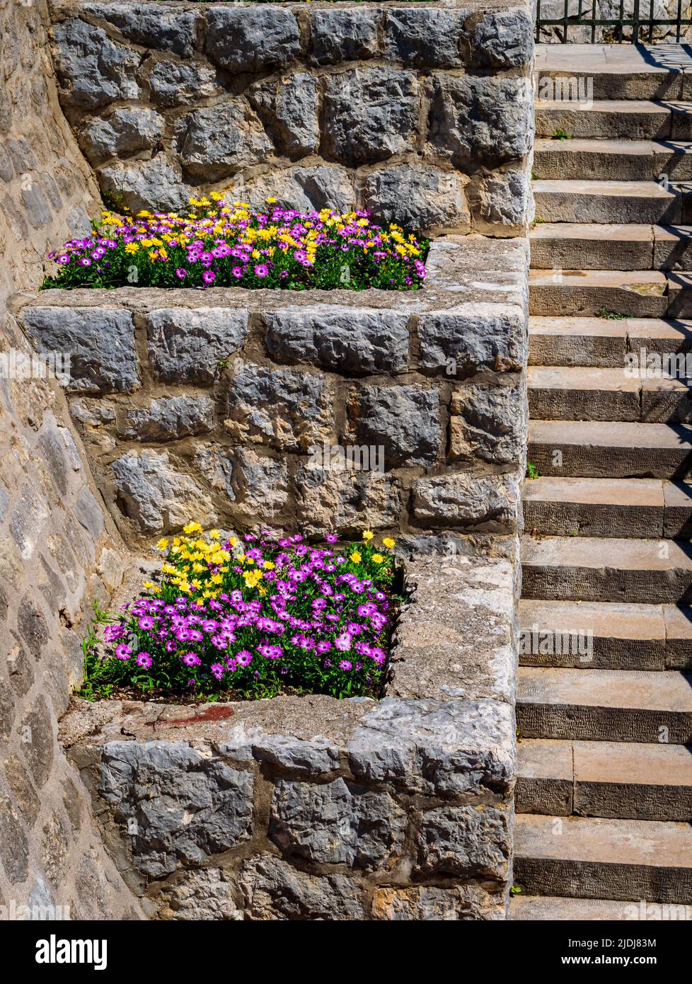 En conservant le charme établi, des jardinières de pierre colorées bordent une étoile près de la vieille ville de Dubrovnik Banque D'Images