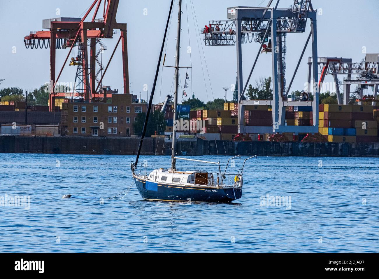 Un voilier dans le fleuve Saint-Laurent près du port de Montréal par temps chaud. Au loin, les conteneurs d'expédition sont empilés par des grues. Banque D'Images