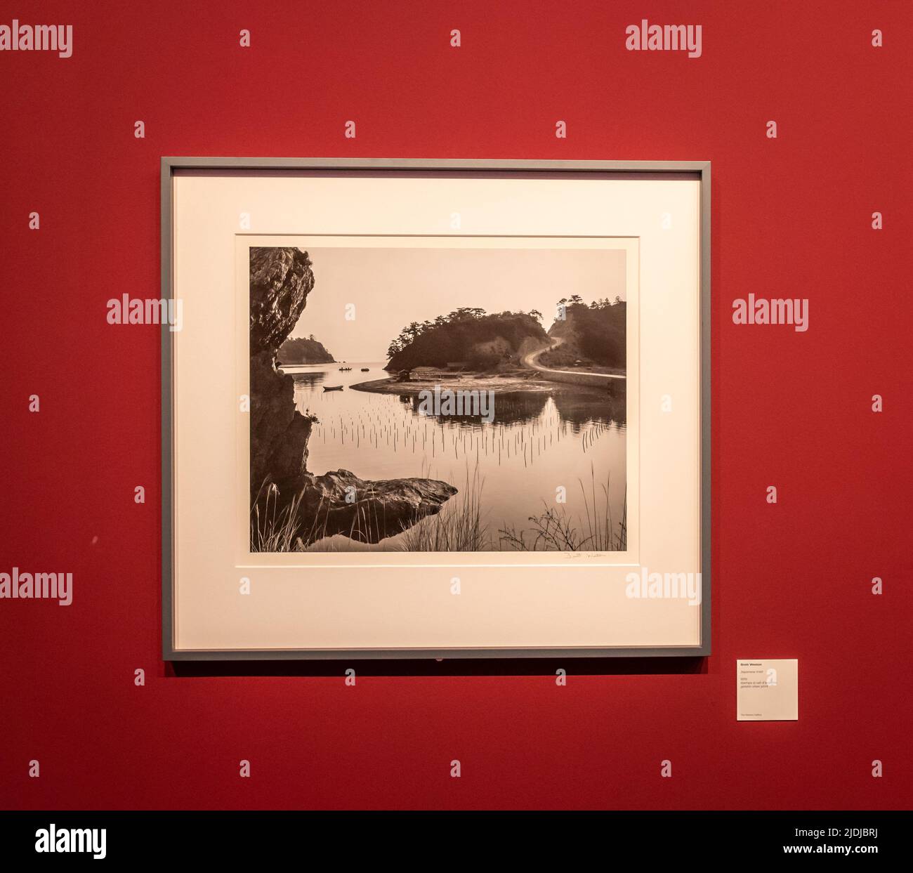 Photographie 'Japanese Inlet “ 1970– du photographe Theodore Brett Weston (1911-1993). Exposition au Musée Santa Giulia de Brescia, dans le nord de l'Italie Banque D'Images