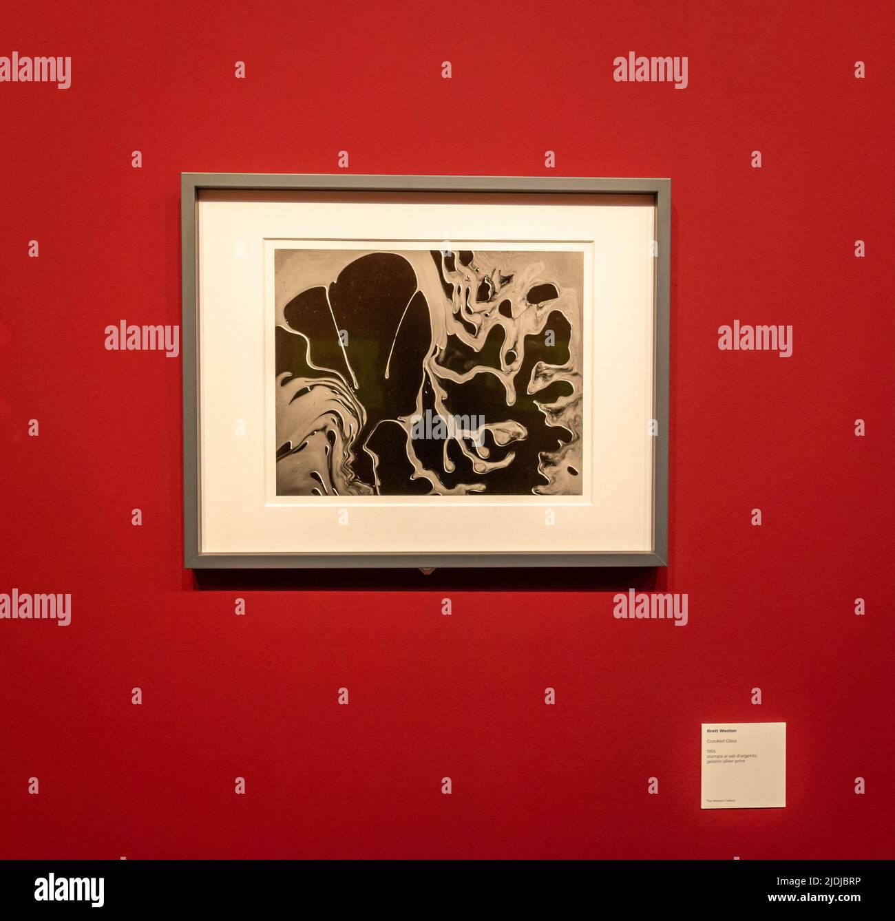 Photographie 'verre fissuré “ 1955– du photographe Theodore Brett Weston (1911-1993). Exposition au Musée de Santa Giulia de Brescia, Festival photo Banque D'Images