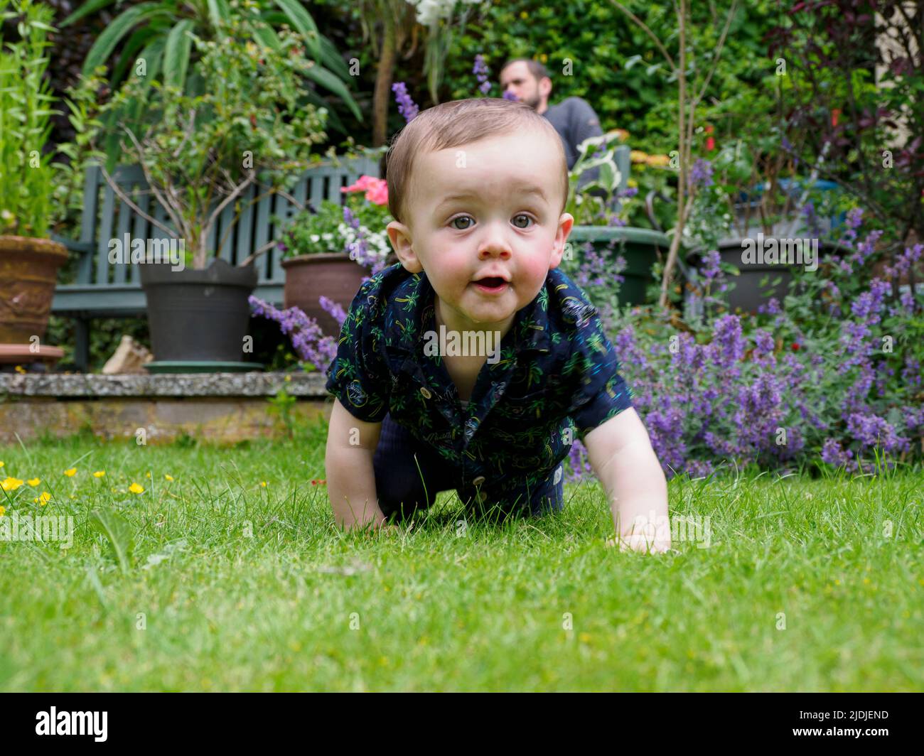 Bébé rampant sur l'herbe dans le jardin, Royaume-Uni Banque D'Images