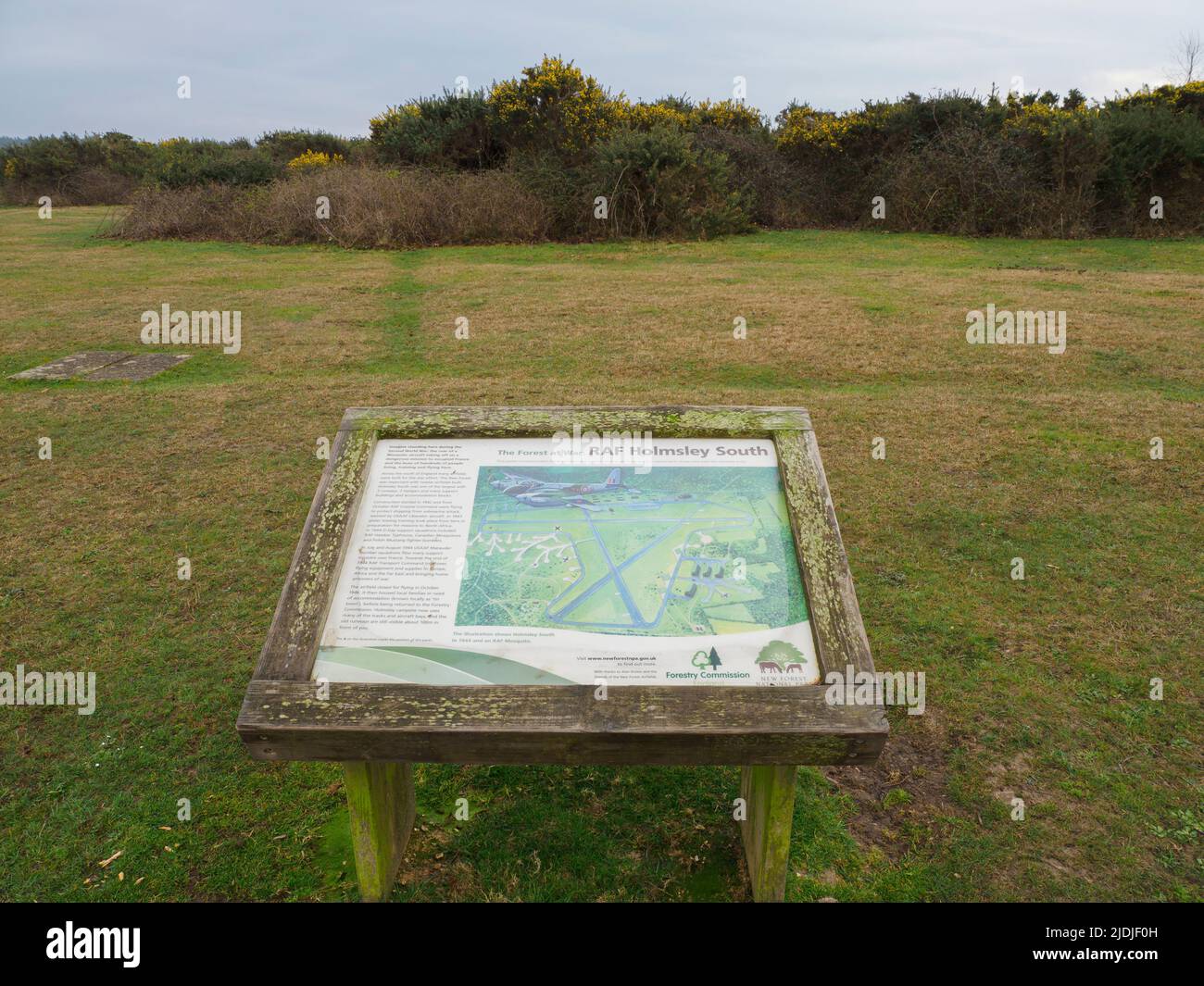 RAF Holmsley South est une ancienne station de WW2 de la Royal Air Force dans la New Forest, Hampshire, Royaume-Uni Banque D'Images