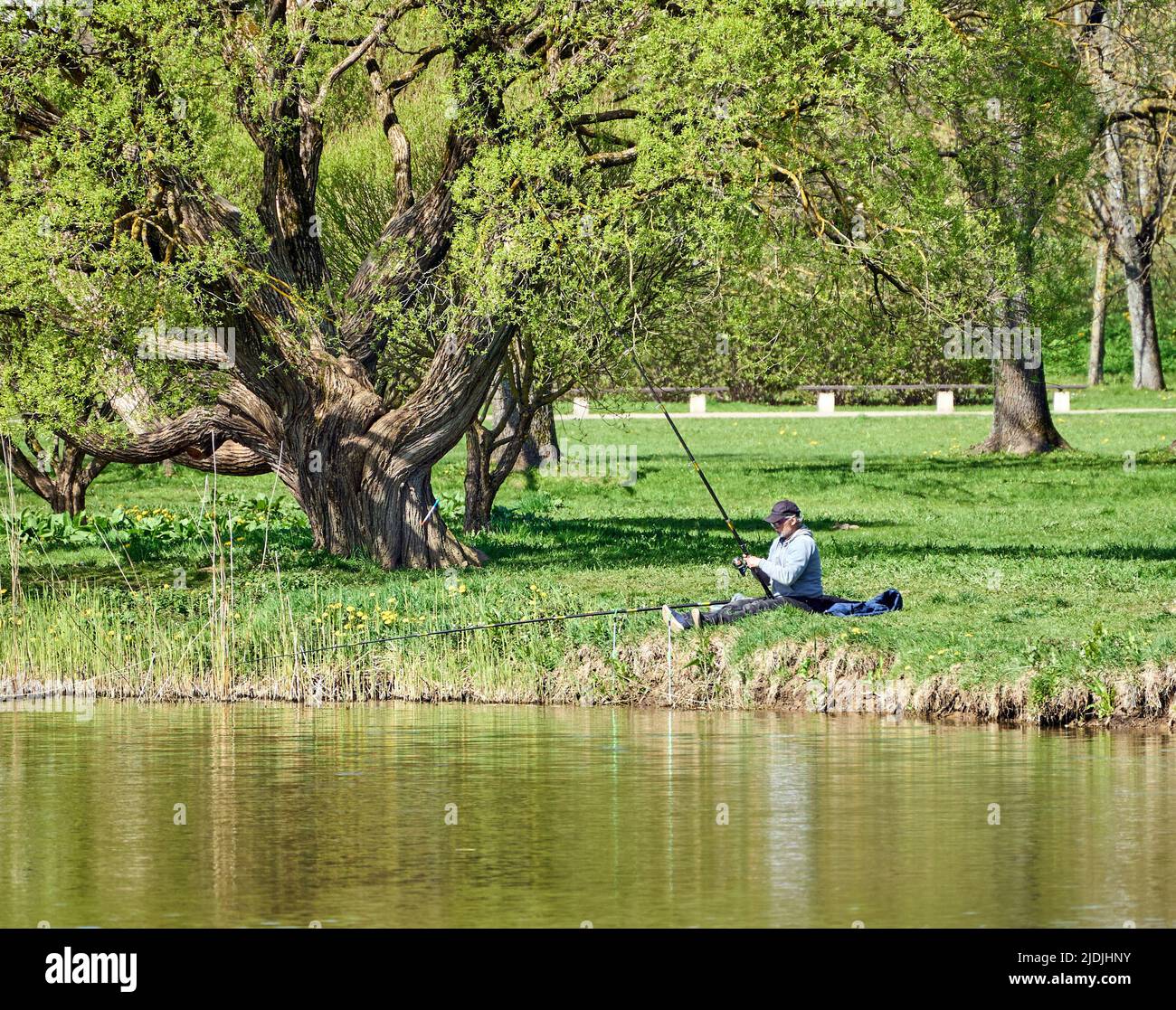 Riga, Lettonie - 8 mai 2022: Un pêcheur est assis avec une canne à pêche sur la rive d'un lac dans un parc public. Herbe verte autour. Grand arbre à gauche. Banque D'Images