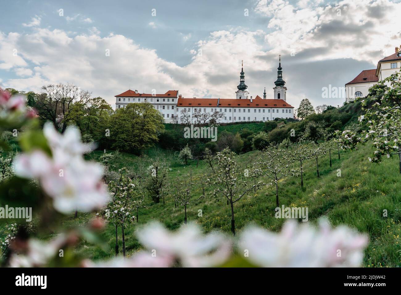 Vue sur le monastère de Strahov avec église de l'Assomption de la Sainte Vierge Marie, panorama de Prague, République tchèque, arbres de printemps en fleurs. Calme romantique Banque D'Images